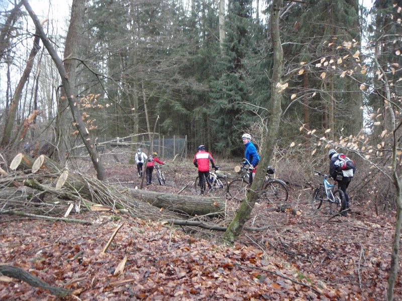 Waldtour 027